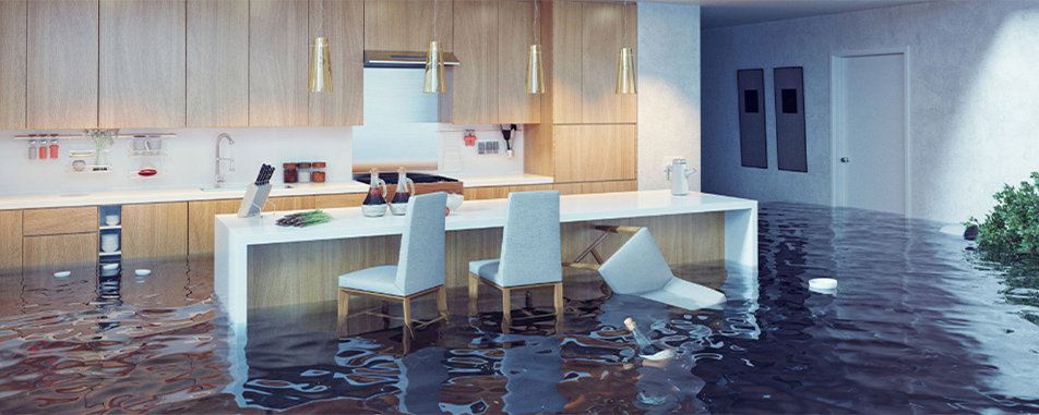 Flood Insurance Banner