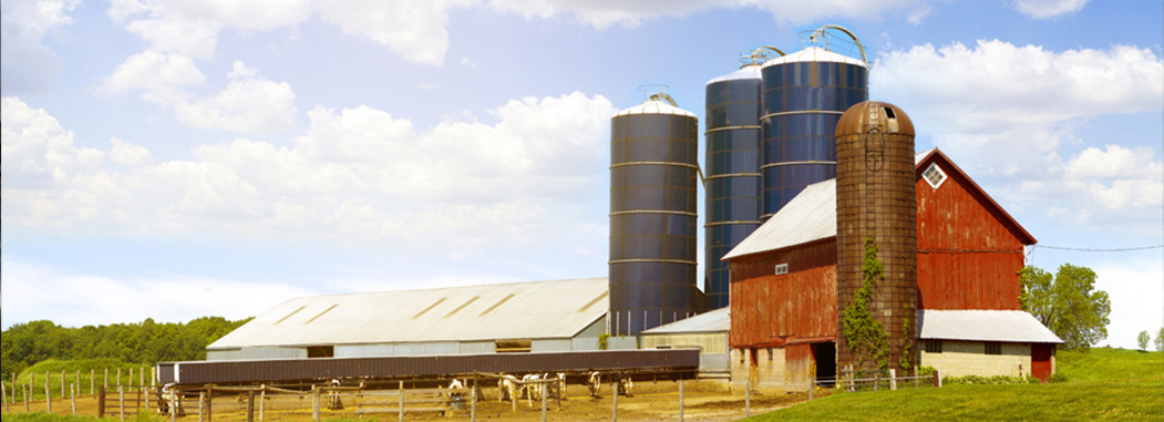 farm banner