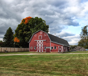 pintler_farm_product-Fall