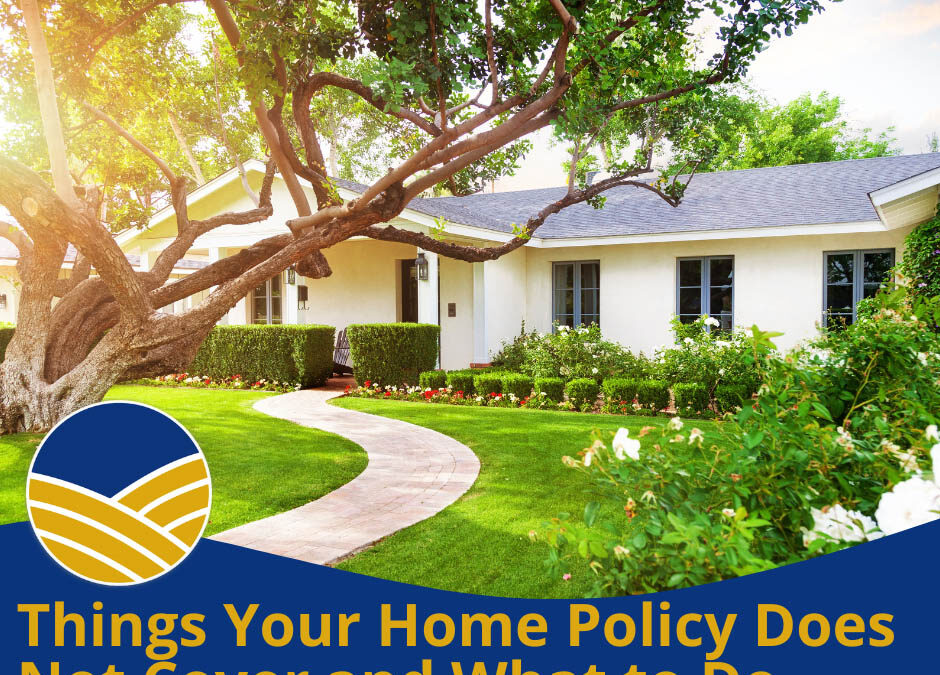 Things Your Home Policy Does Not Cover and What to Do