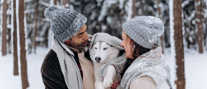 Cold Weather Pet Safety