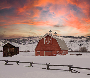 Farm Insurance - Winter Box Farm Insurance