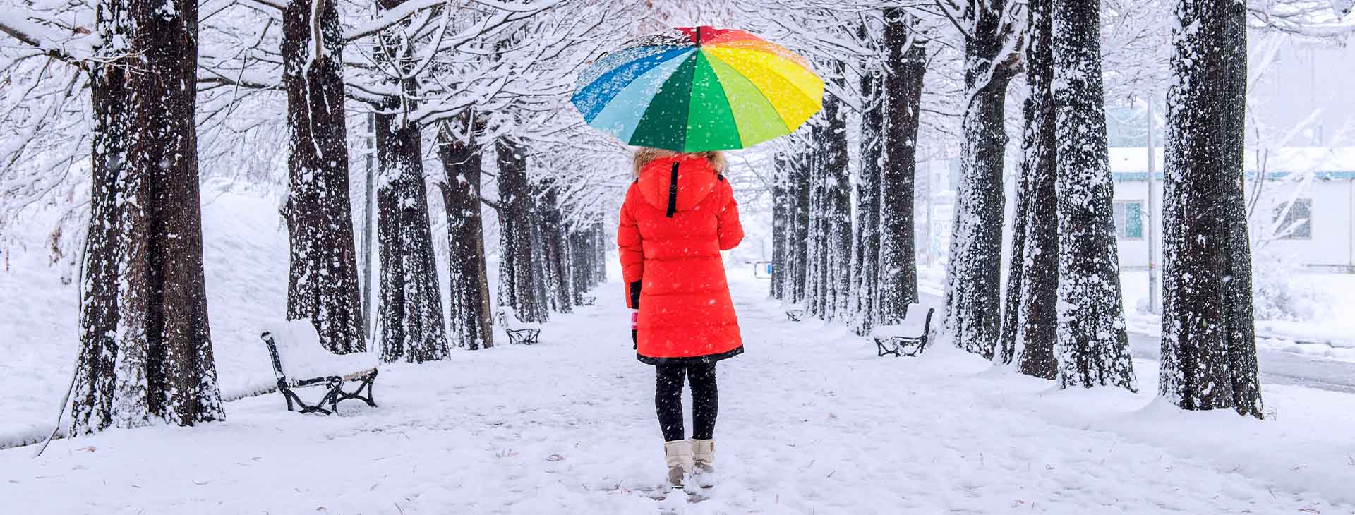 Personal umbrella insurance providing extra liability protection in Anaconda Montana Pintler Insurance